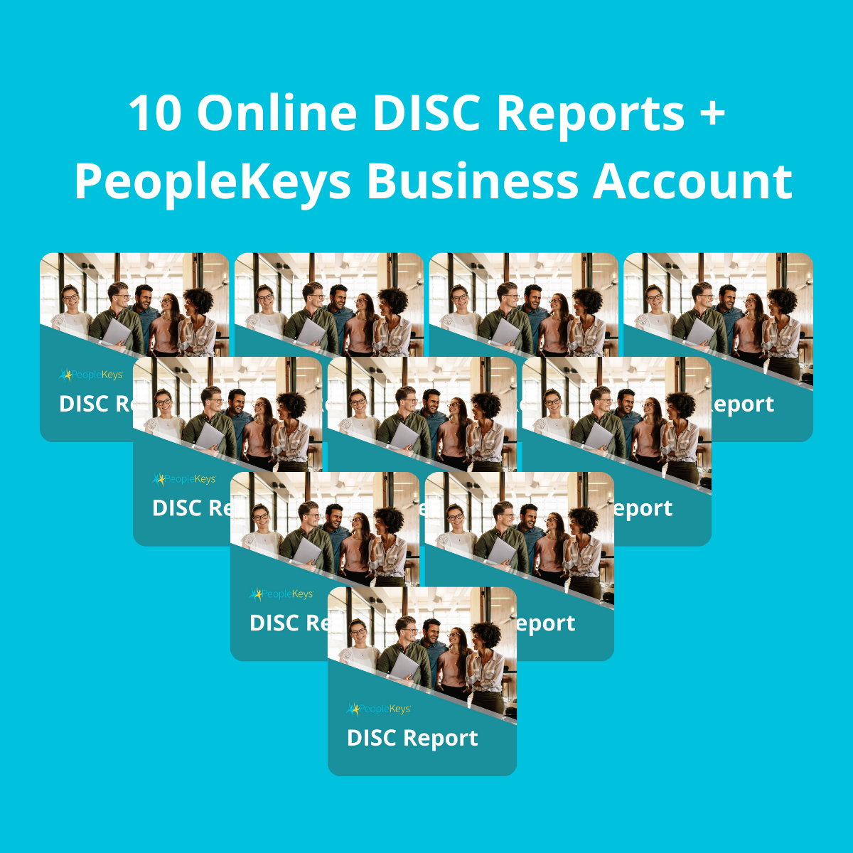 DISC Report 10-Pack Bundle