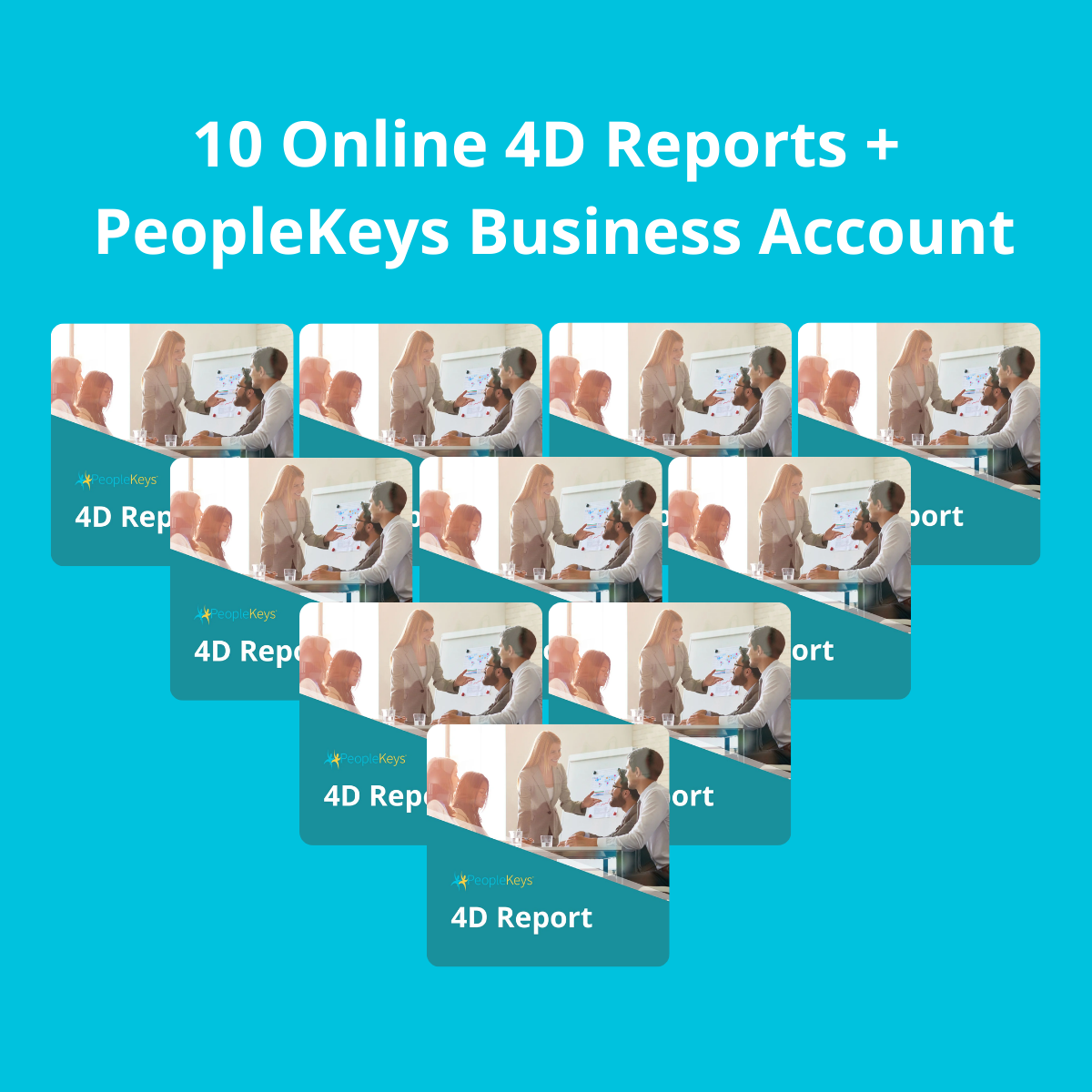 4D Report 10-Pack Bundle