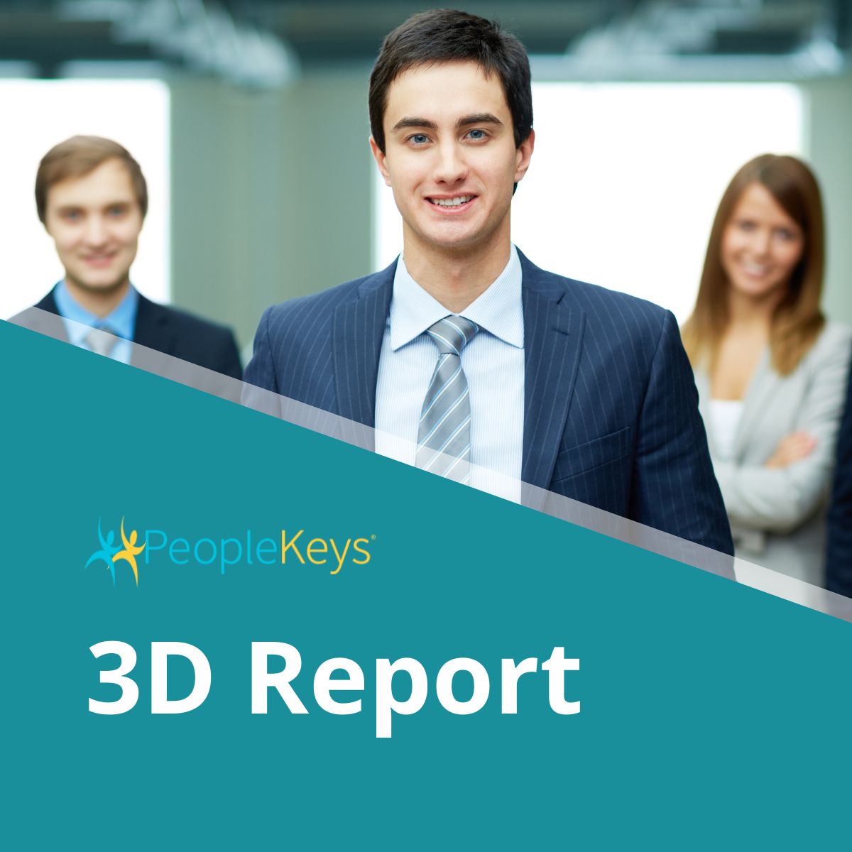 3D Report (Online)