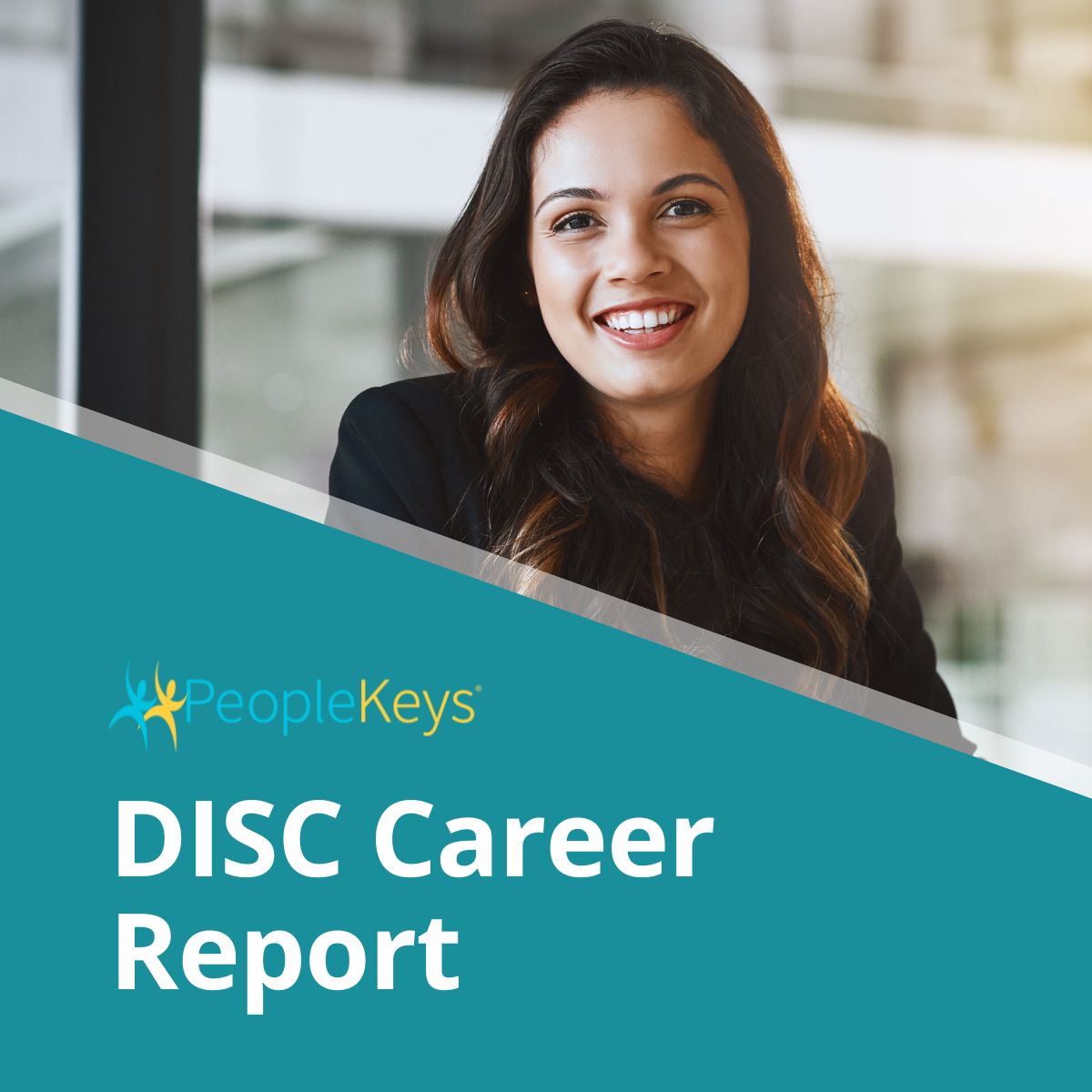 DISC Career Report (Online)