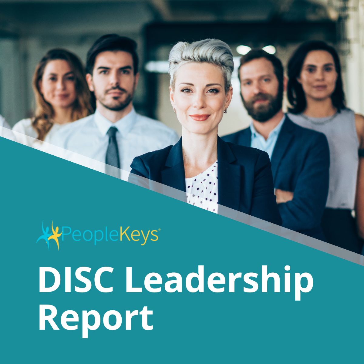 DISC Leadership Report (Online)
