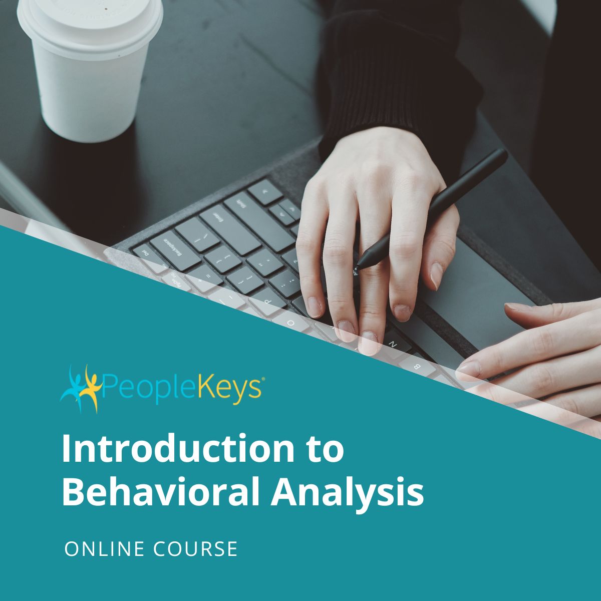 DISC Training Level 1: Introduction to Behavioral Analysis Course (Online)