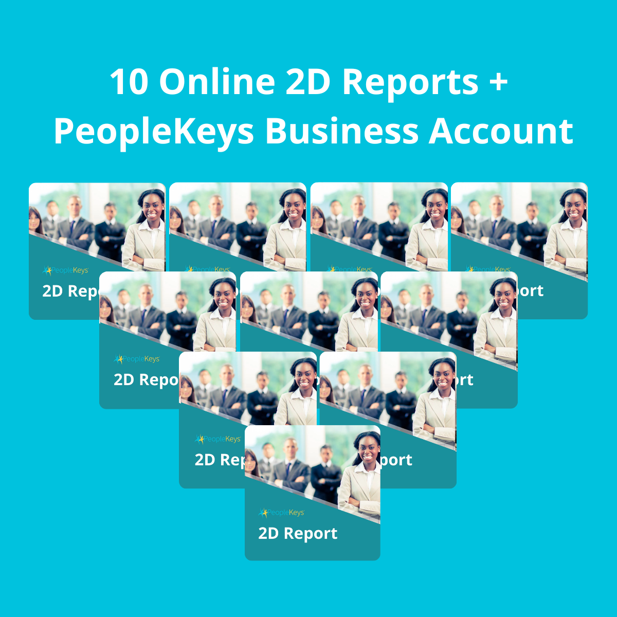 2D Report 10-Pack Bundle