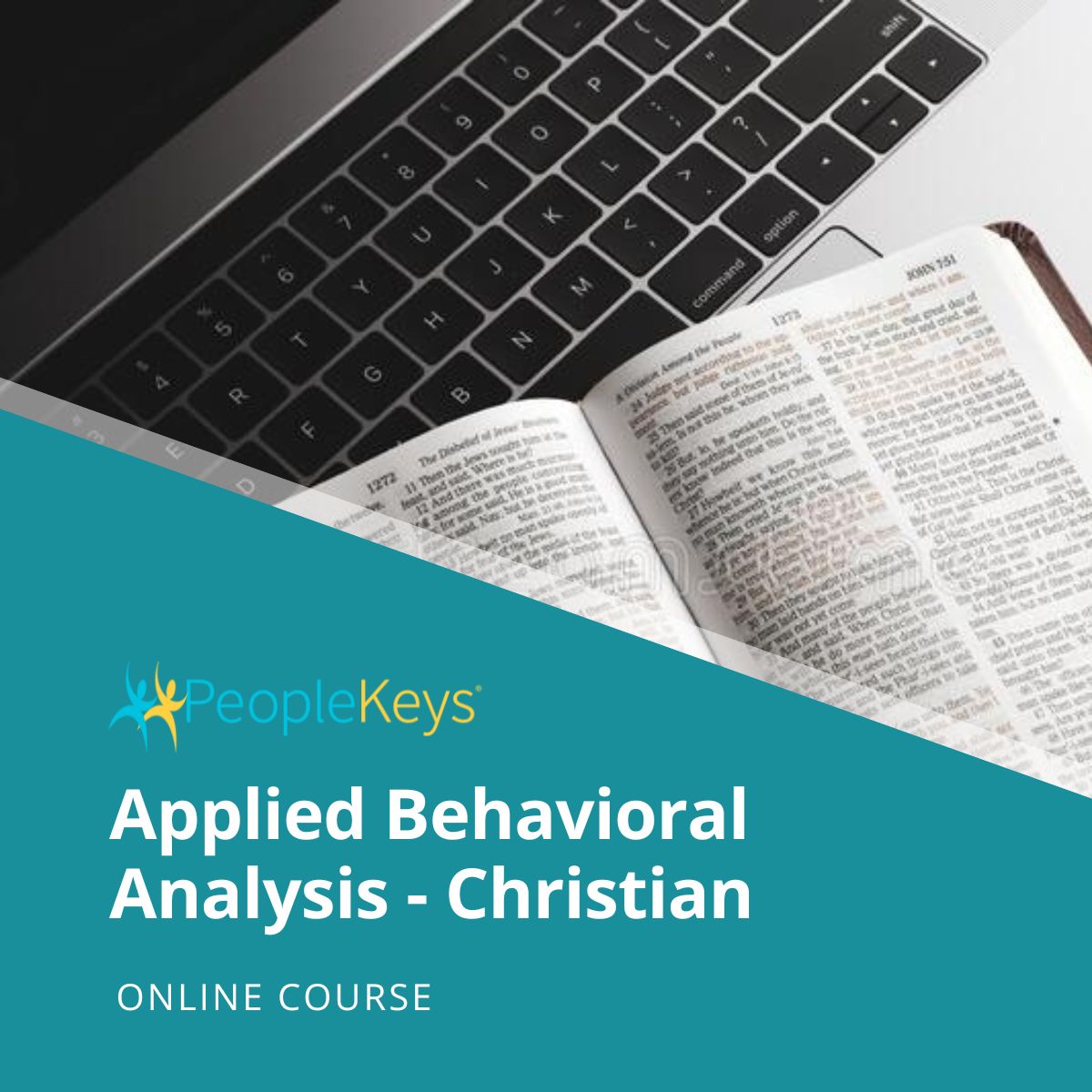 DISC Training Level 2: Applied Behavioral Analysis Course (Online) - Christian