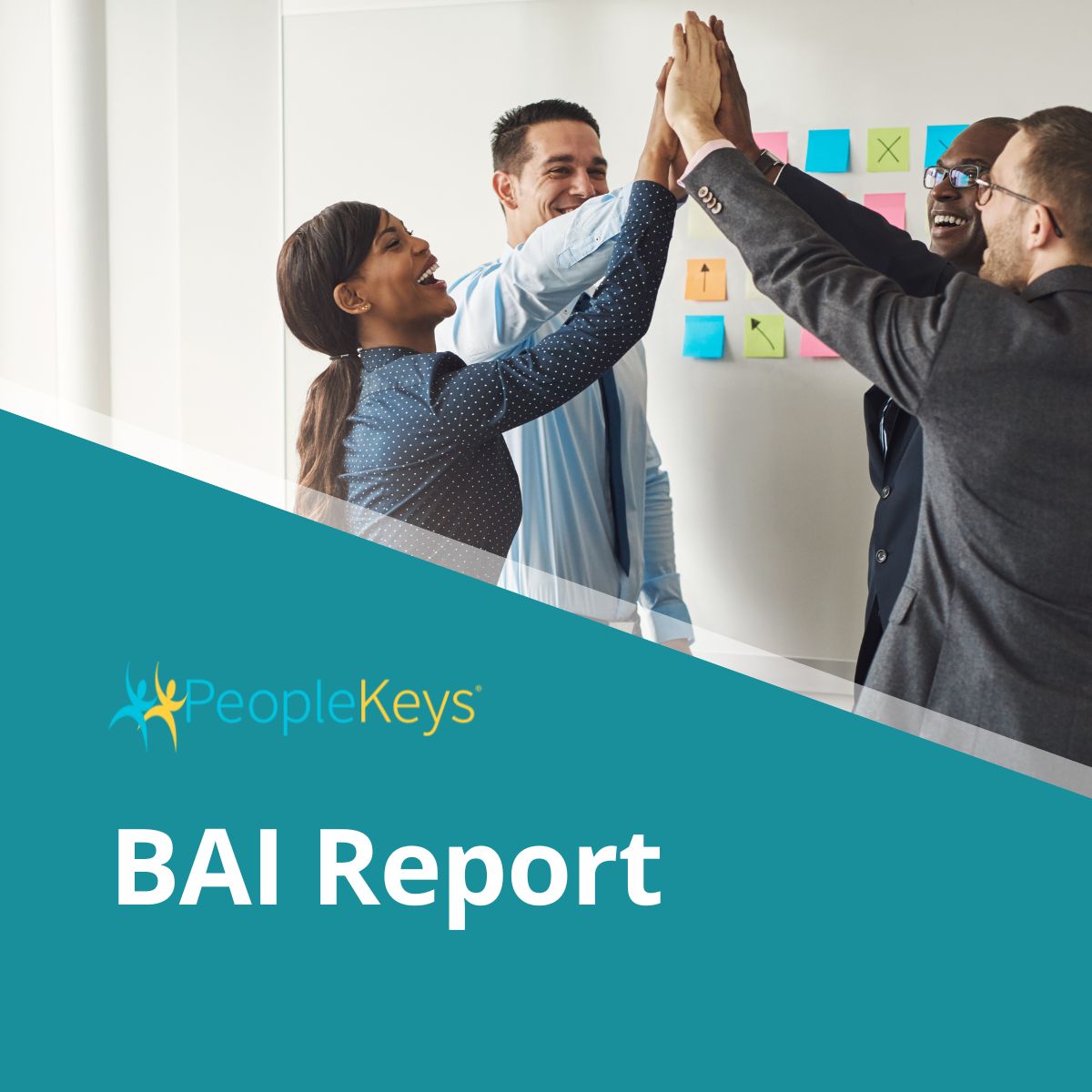 Behavioral Attitudes Index (BAI) Report (Online)
