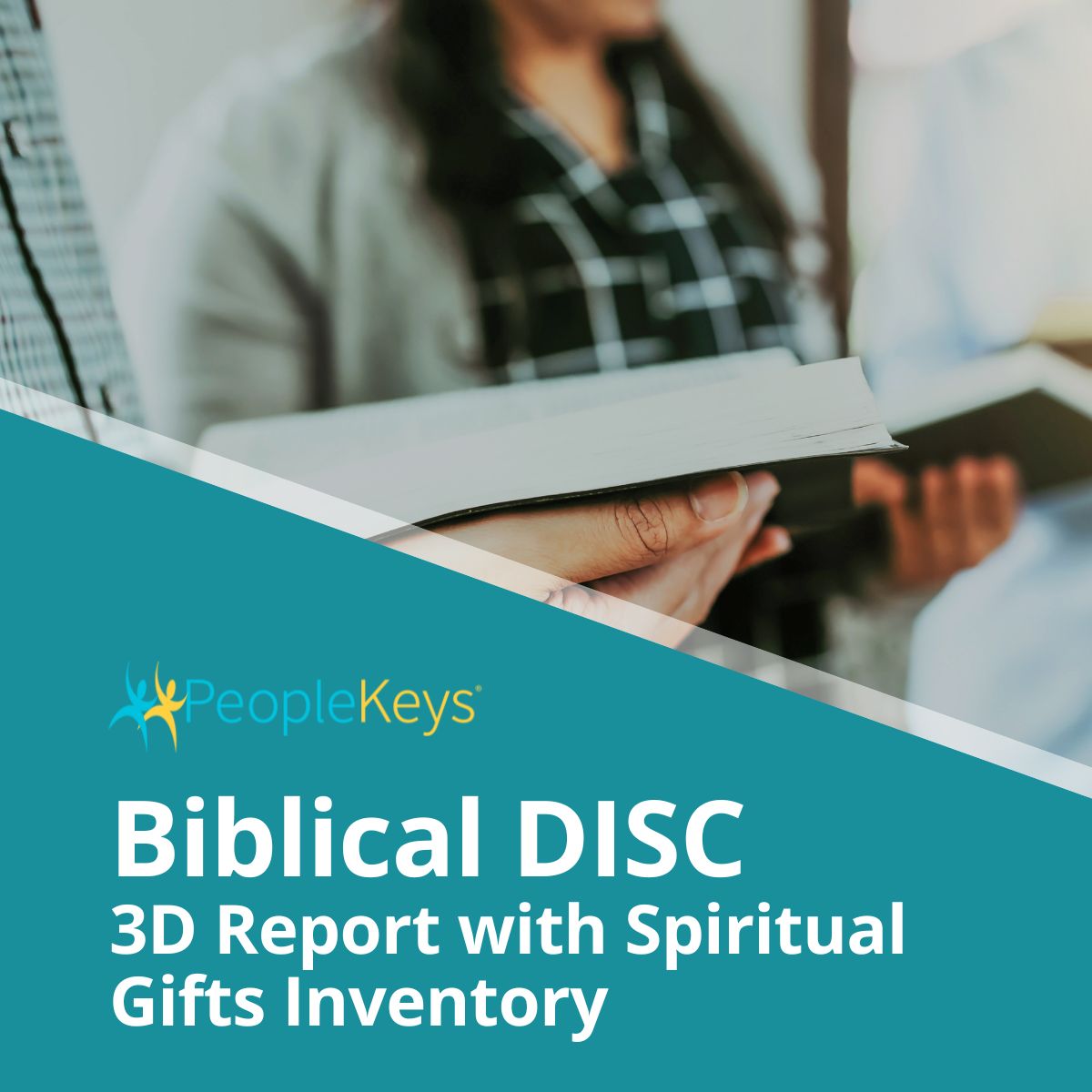Biblical DISC 3D Report with Spiritual Gifts Inventory: DISC, TEAMS, Values and SGI (Online)
