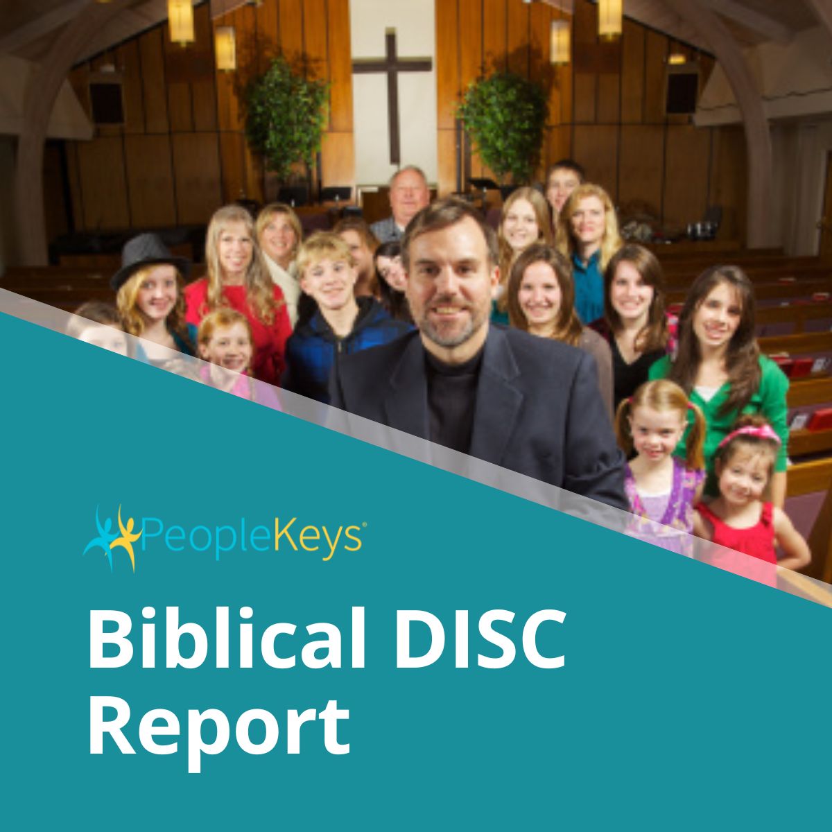 Biblical DISC Report (Online)
