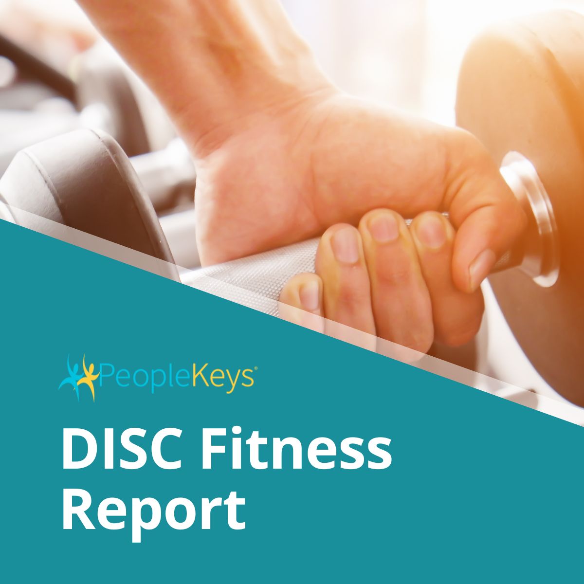 DISC Fitness Report (Online)