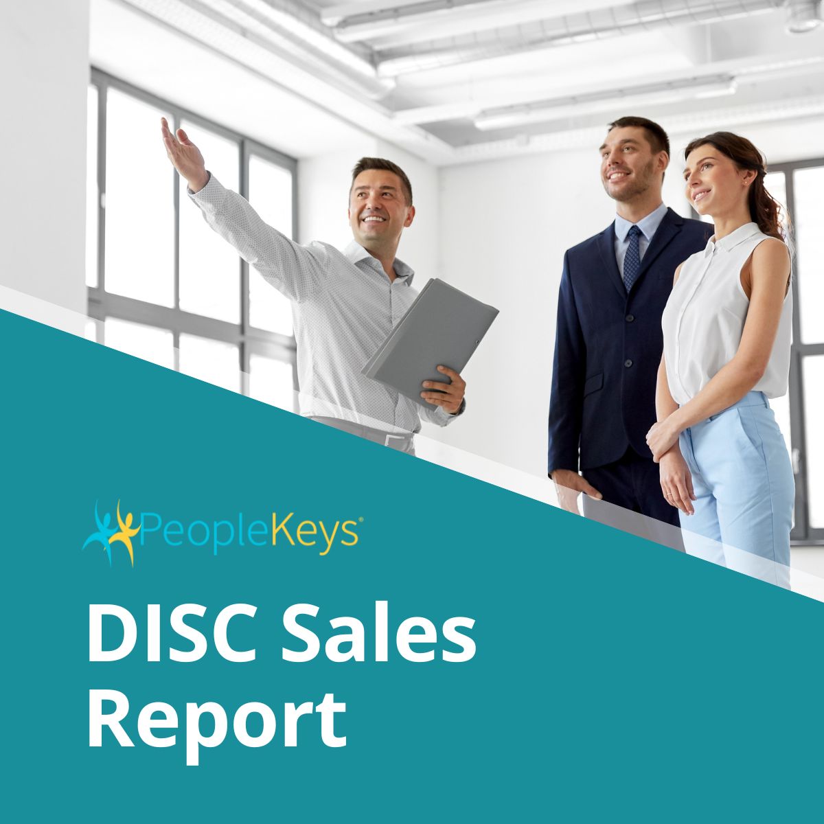 DISC Sales Report (Online)