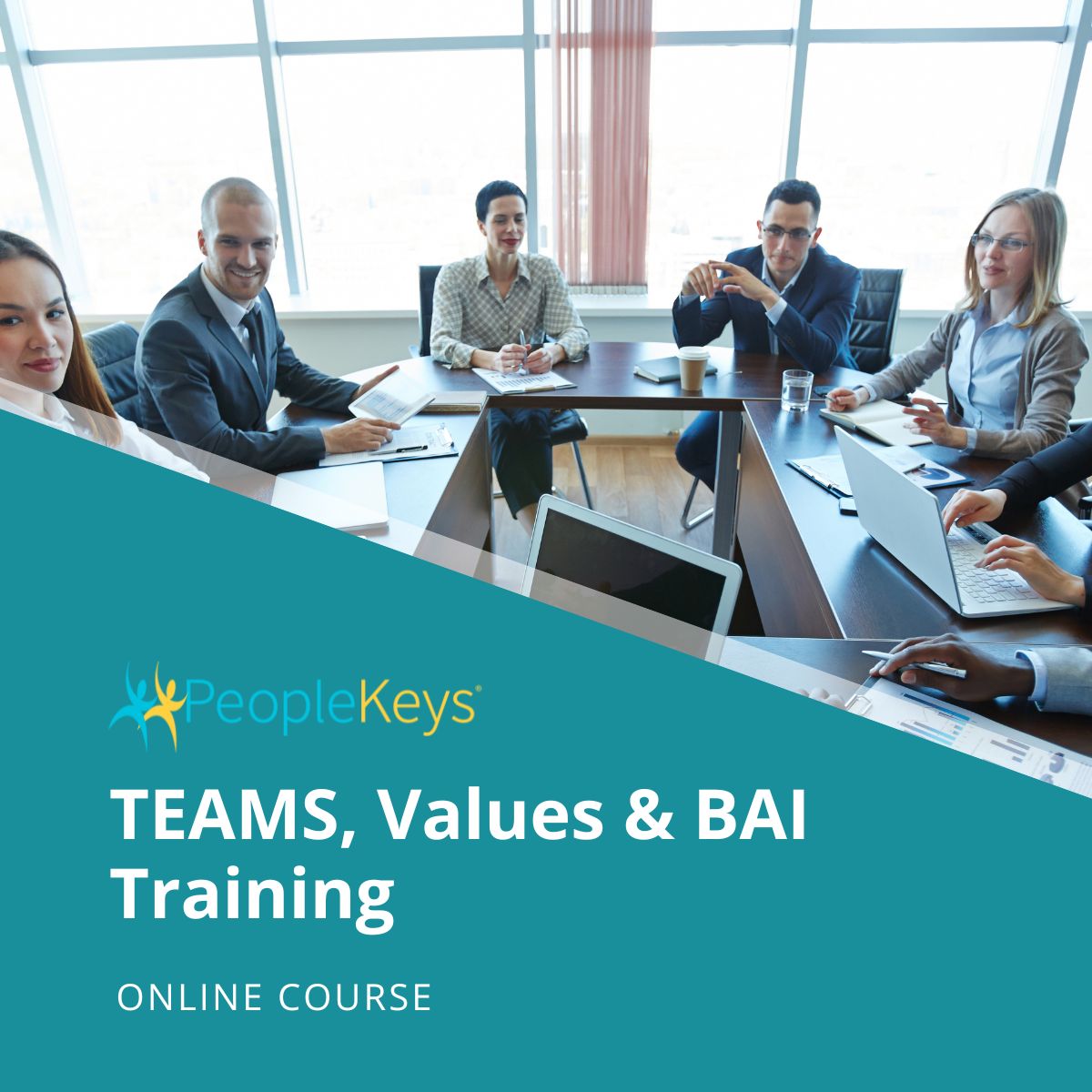 TEAMS, Values & BAI Training Course (Online)
